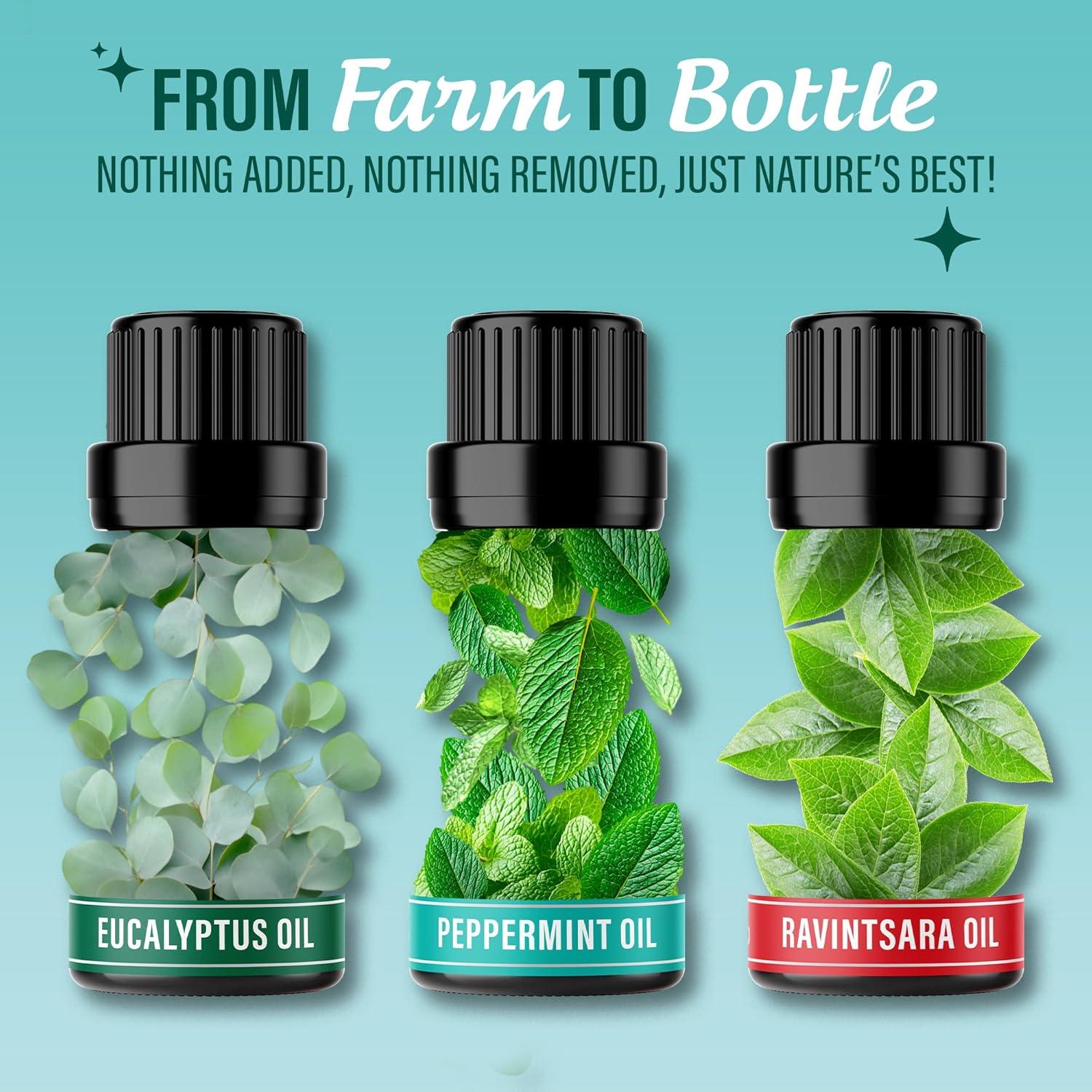 imageGuruNanda Essential Oil Blends Set of 6 Natural Essential Oil Set Aromatherapy Oil Blends for Diffusers Breathe Easy Tranquility Harmony Calming Sleep Relaxation ampamp ThriveBreathe EO 3 Pack