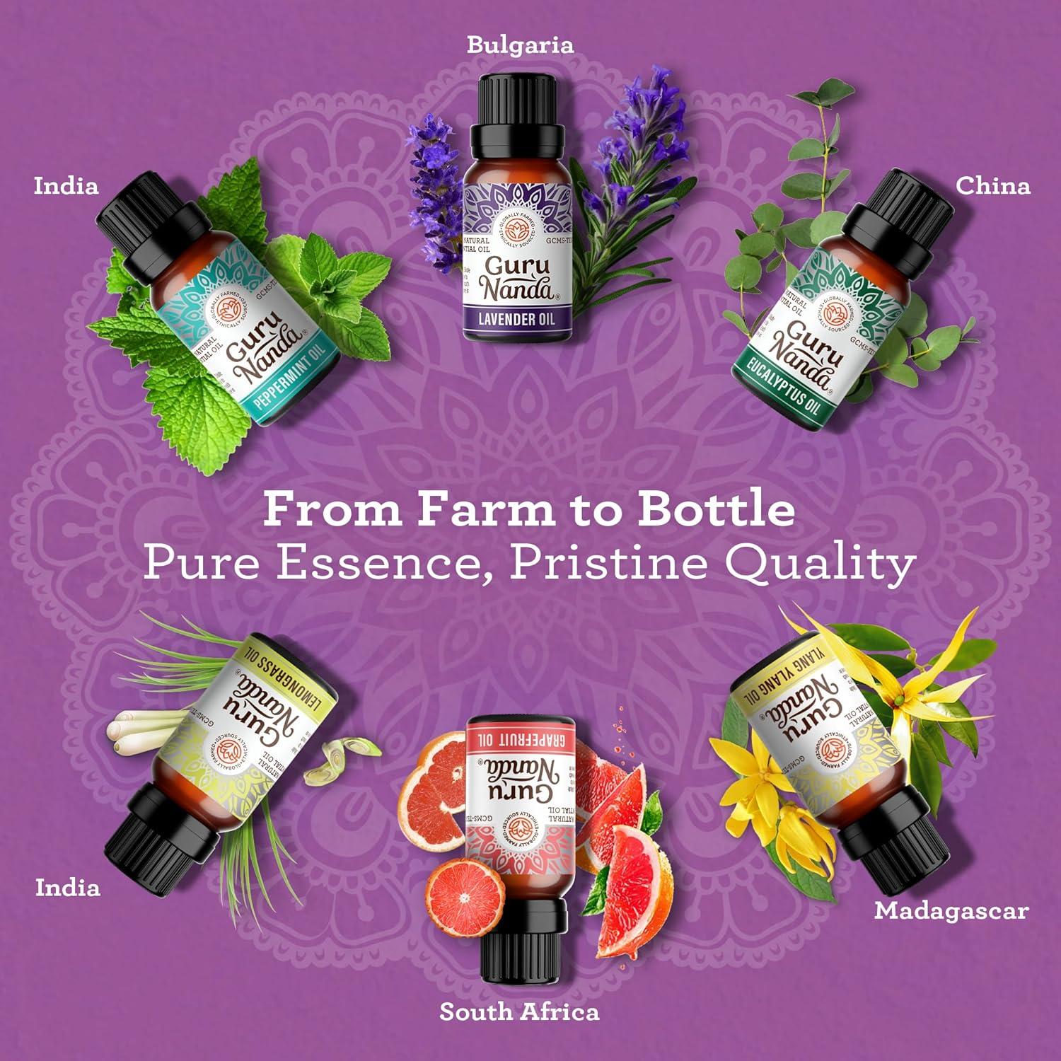 imageGuruNanda Essential Oil Blends Set of 6 Natural Essential Oil Set Aromatherapy Oil Blends for Diffusers Breathe Easy Tranquility Harmony Calming Sleep Relaxation ampamp ThriveSingles EO 6 Pack