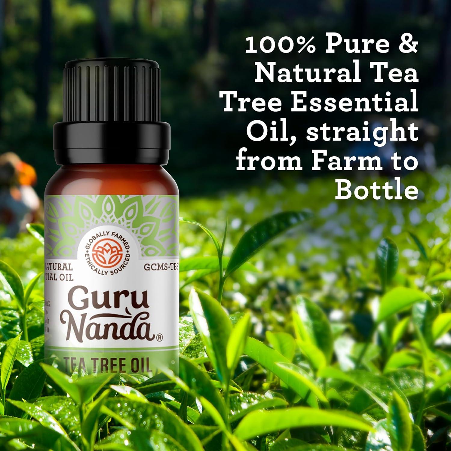 imageGuruNanda Eucalyptus Essential Oil 100 Pure Natural and Undiluted Aromatherapy Oil for Diffusers Enhances Your Breathing Space Perfect for Massages 2X05 Fl OzTea Tree