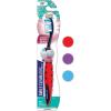 1 Count (Pack of 1)