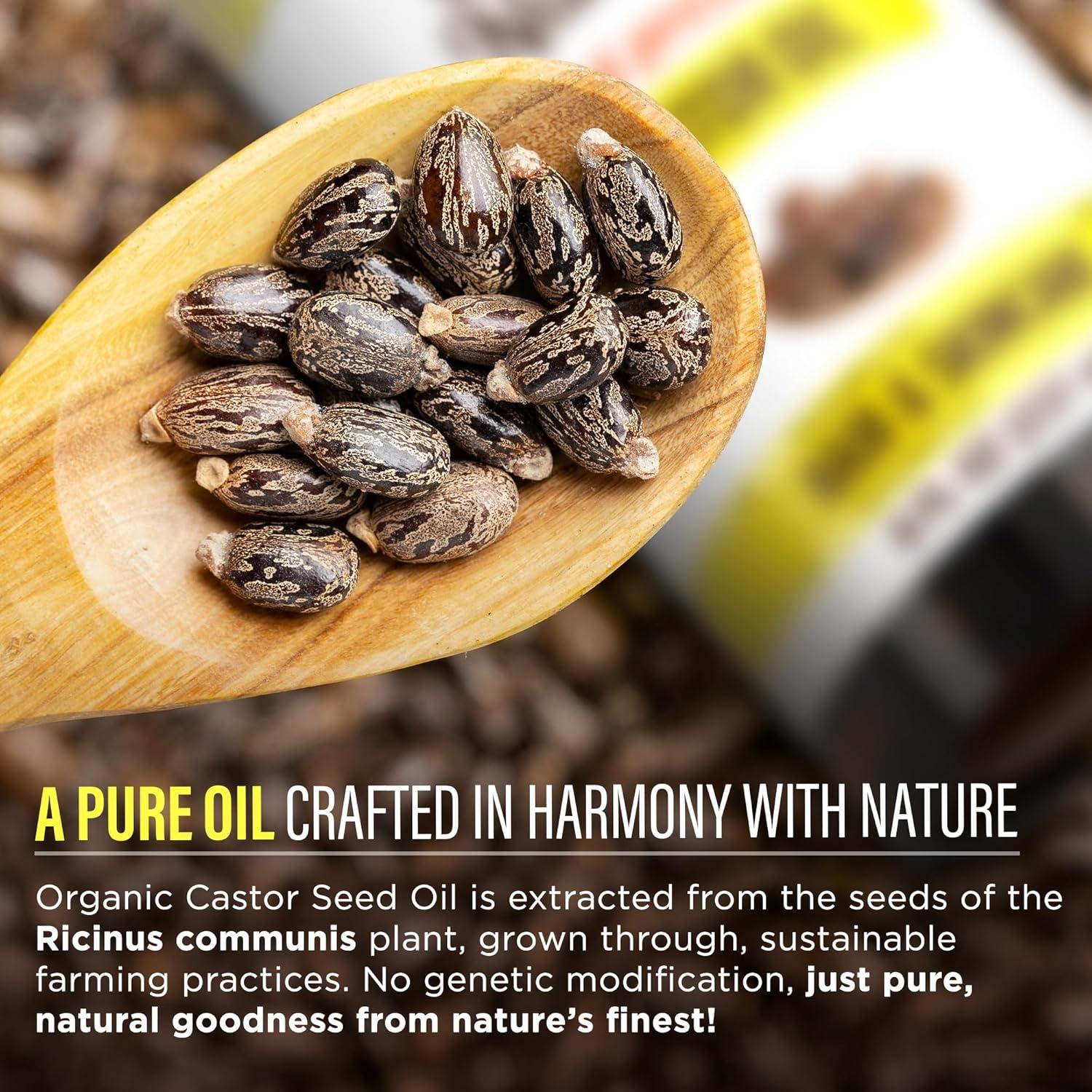 imageGuruNanda Castor Oil Organic USDA Certified 8 Fl oz 100 Pure amp Natural Cold Pressed amp HexaneFree Hydrating Carrier Oil for Skin Hair Eyebrows amp Eyelashes Growth8 Fl Oz Pack of 1